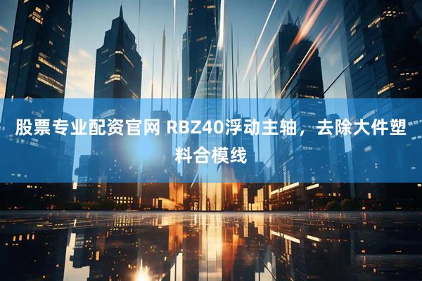 股票专业配资官网 RBZ40浮动主轴，去除大件塑料合模线
